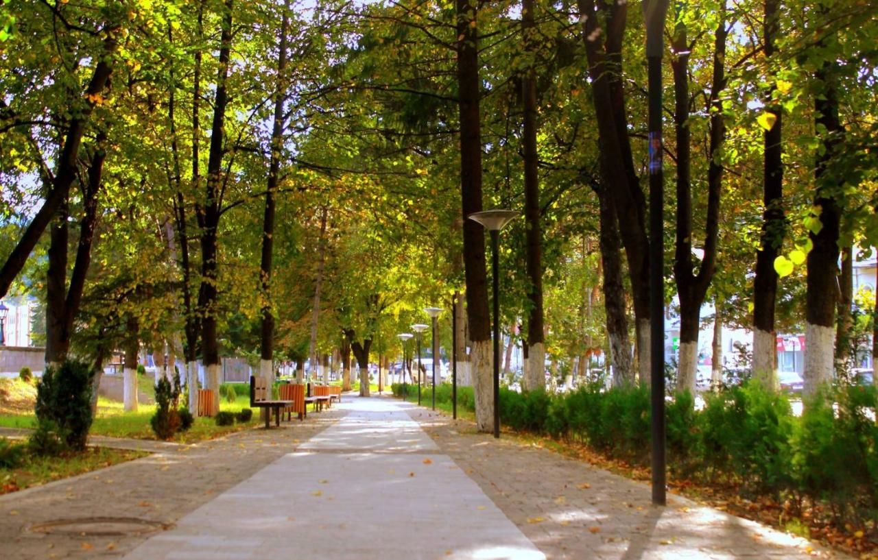 Гостевой дом Guesthouse Natalia Боржоми-18