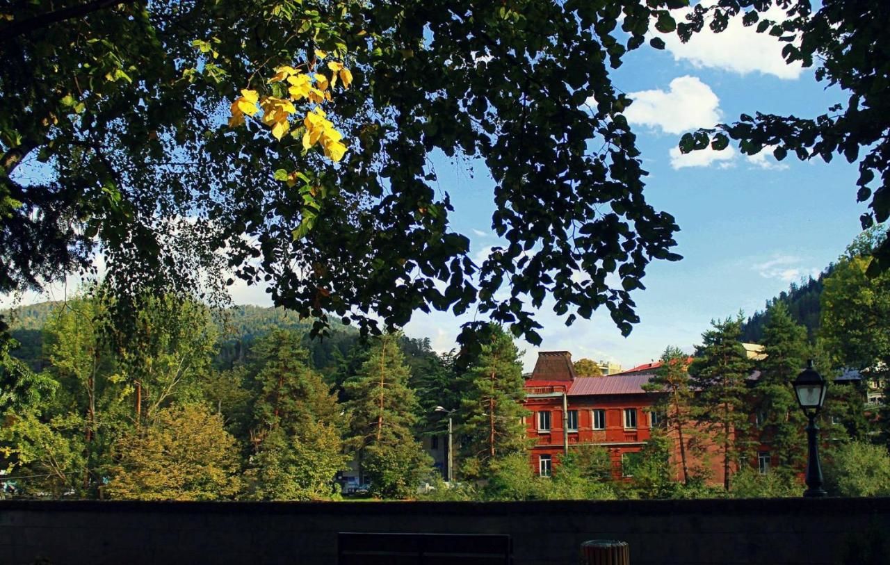 Гостевой дом Guesthouse Natalia Боржоми-19