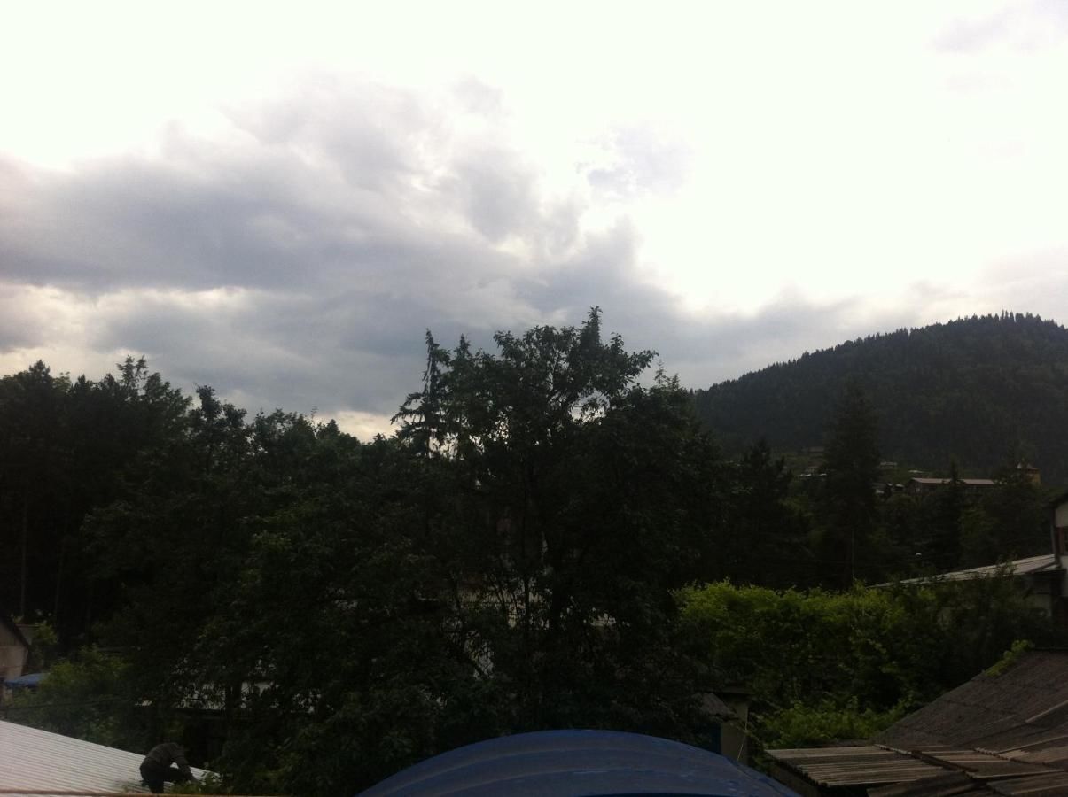 Гостевой дом Guesthouse Natalia Боржоми-23