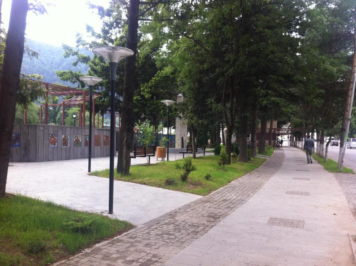 Гостевой дом Guesthouse Natalia Боржоми-26