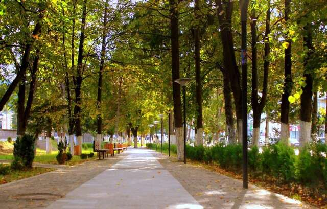 Гостевой дом Guesthouse Natalia Боржоми-17