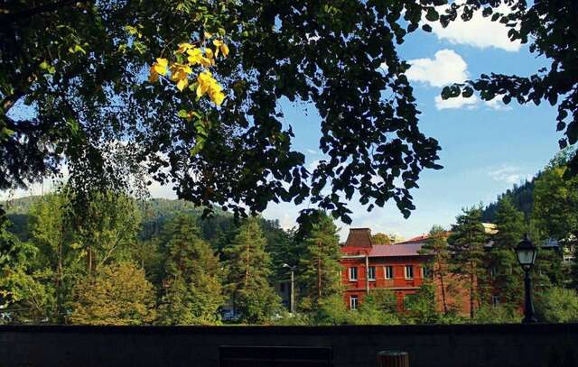 Гостевой дом Guesthouse Natalia Боржоми-18